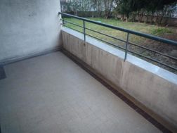 Photo n°4