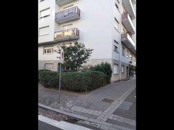 Photo n°5
