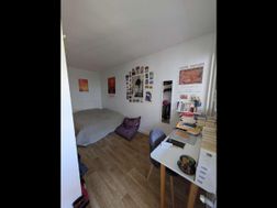 Photo n°6