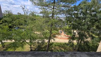 Photo n°3