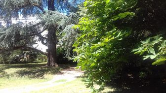 Photo n°2