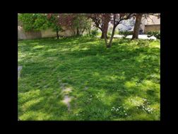 Photo n°2