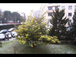 Photo n°1