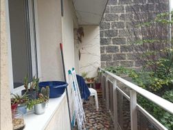 Photo n°5