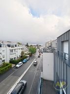 Photo n°8
