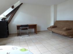 Photo n°4
