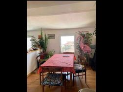 Photo n°4
