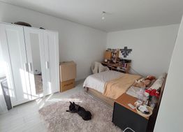 Photo n°4