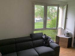 Photo n°3