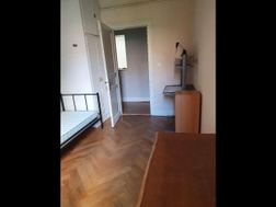 Photo n°8