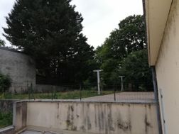 Photo n°4