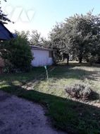 Photo n°8