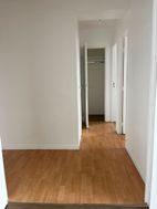Photo n°6