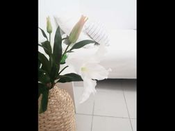 Photo n°2