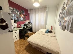 Photo n°3