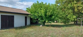 Photo n°9