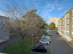 Photo n°5