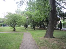 Photo n°6