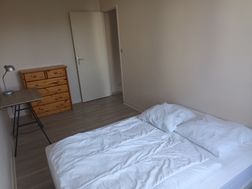 Photo n°3