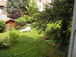 Photo n°4