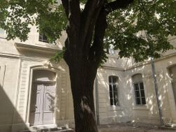 Photo n°1