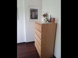 Photo n°5