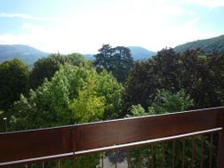 Photo n°4