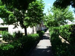 Photo n°1