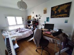 Photo n°5