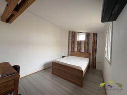 Photo n°6