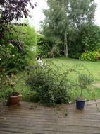 Photo n°2
