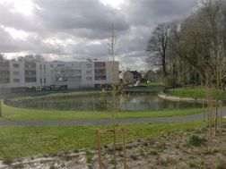 Photo n°5