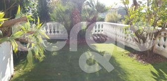 Photo n°1