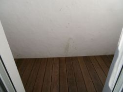 Photo n°5