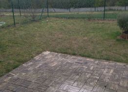 Photo n°9