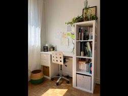 Photo n°5