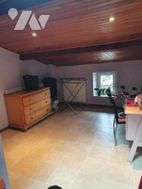Photo n°6