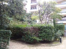 Photo n°6