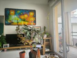 Photo n°1