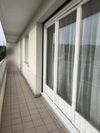 Photo n°4