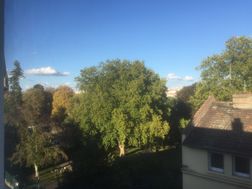 Photo n°4