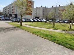 Photo n°3