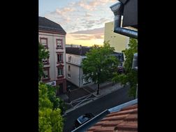 Photo n°15