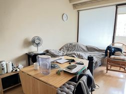 Photo n°6