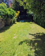 Photo n°4