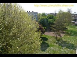 Photo n°4