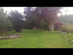 Photo n°6