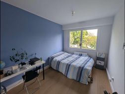 Photo n°6