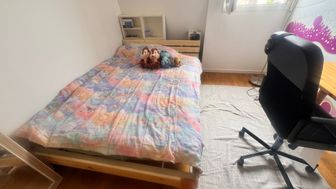 Photo n°4