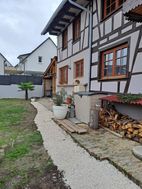 Photo n°4